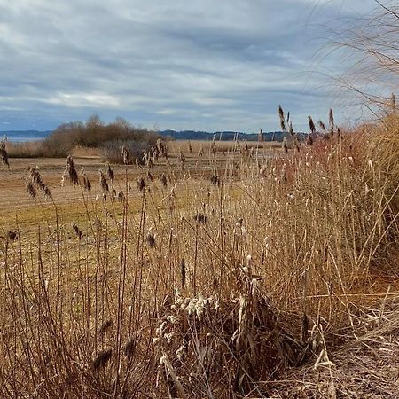 Marxhof Seebruck Am Chiemsee Seeon Seebruck Bagian luar foto